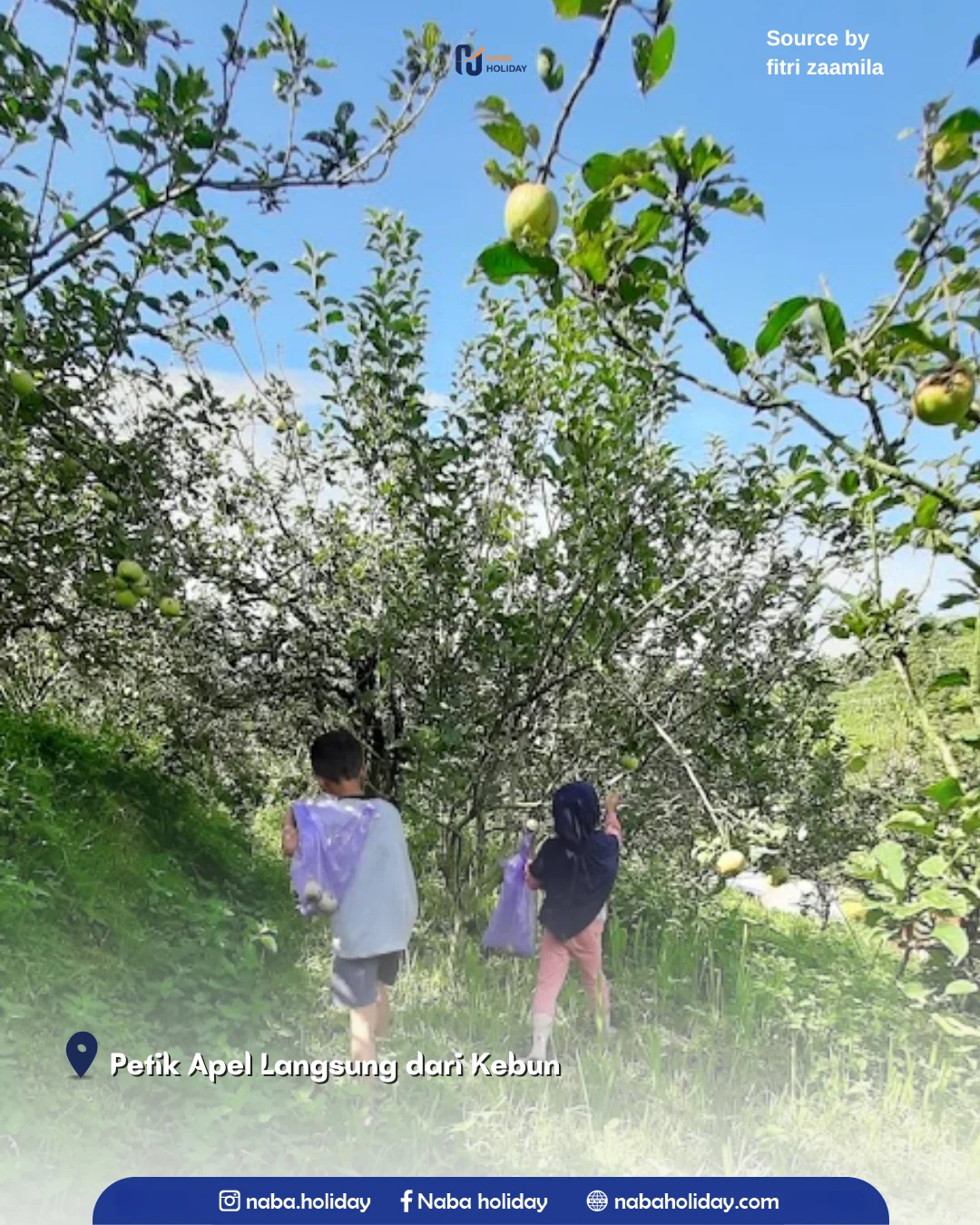 Petik Apel Langsung dari Kebun Wisata Petik Apel Agro Rakyat