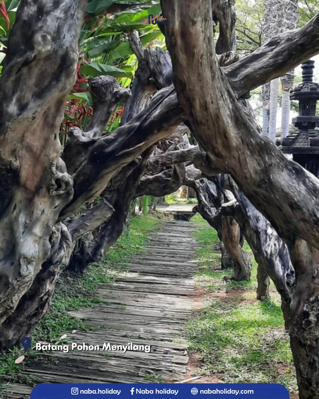 Batang Pohon Menyilang Big Garden Corner