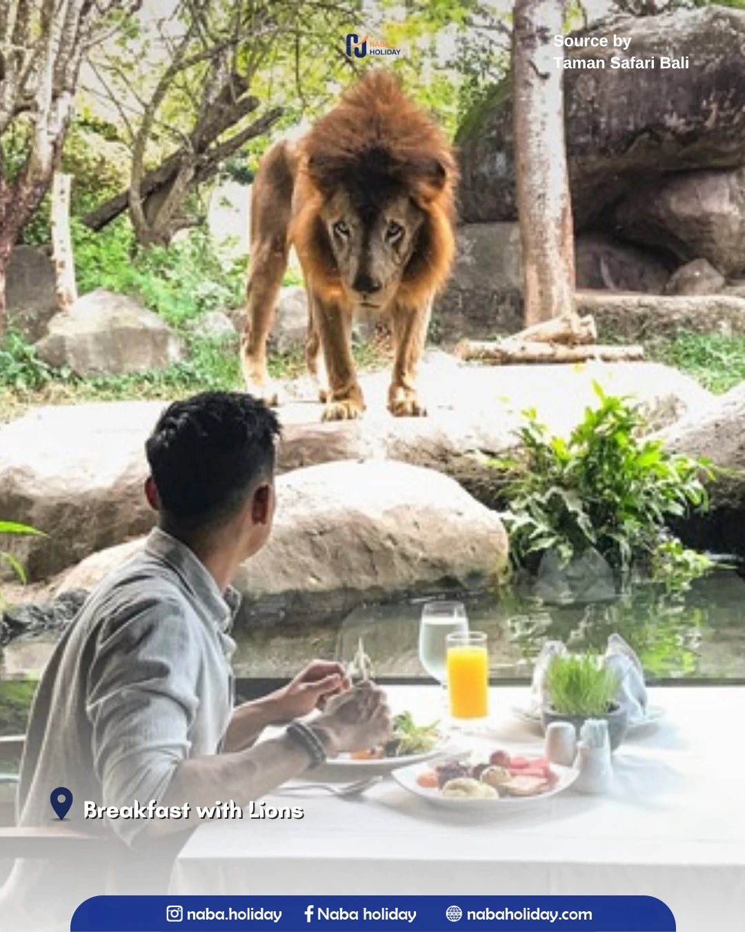 Breakfast with Lions Bali Safari Marine Park