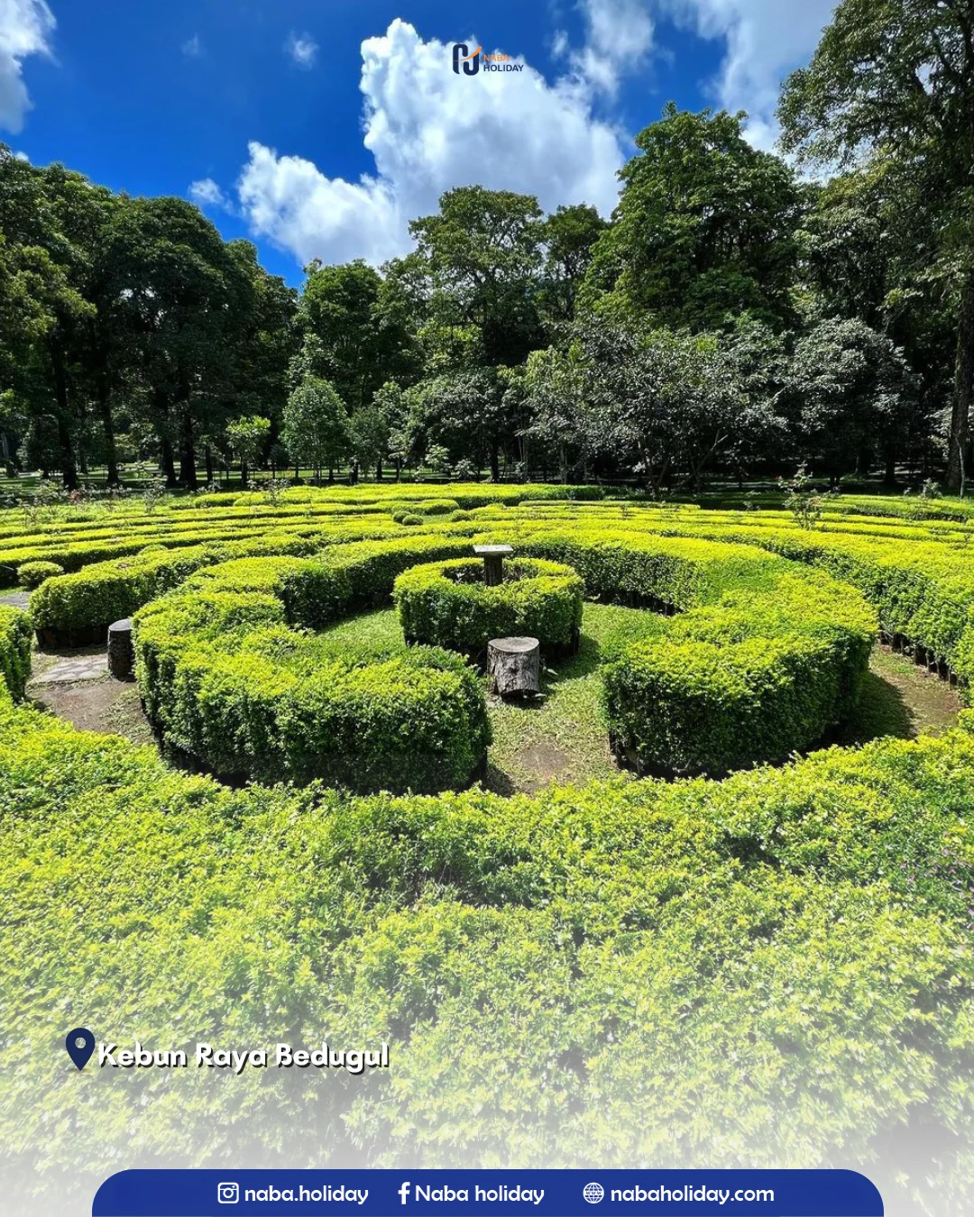 Kebun Raya Bedugul Bedugul