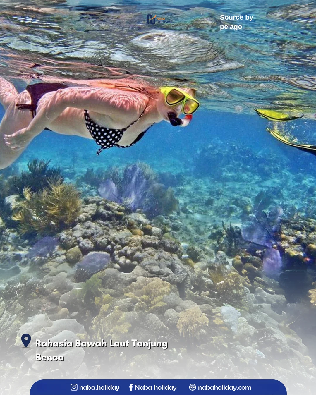 Rahasia Bawah Laut Tanjung Benoa Tanjung Benoa Beach