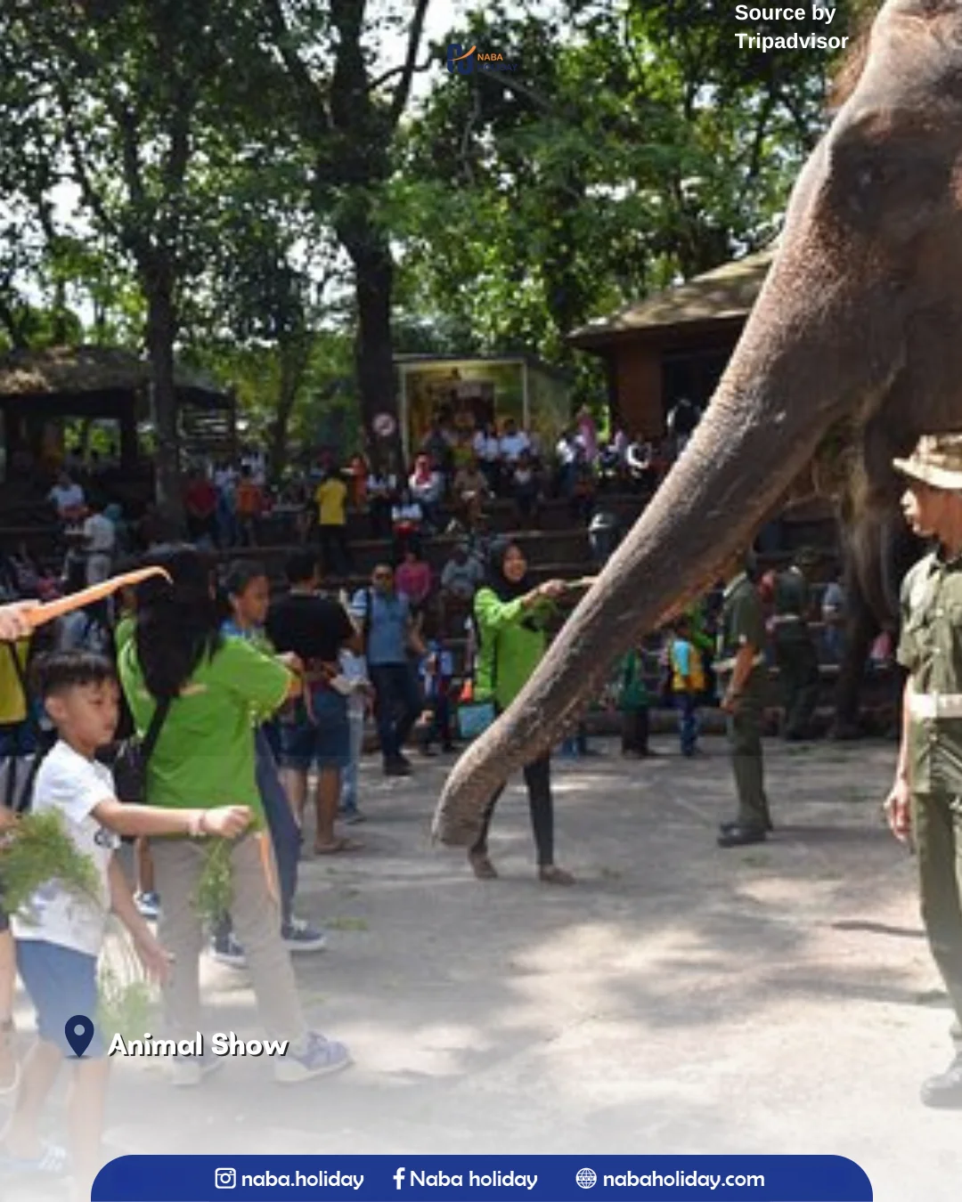Animal Show taman safari prigen