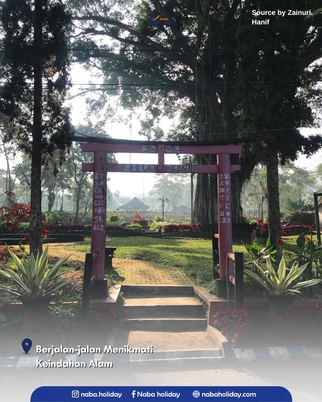 Berjalan-jalan Menikmati Keindahan Alam Kebun Teh Purwosari