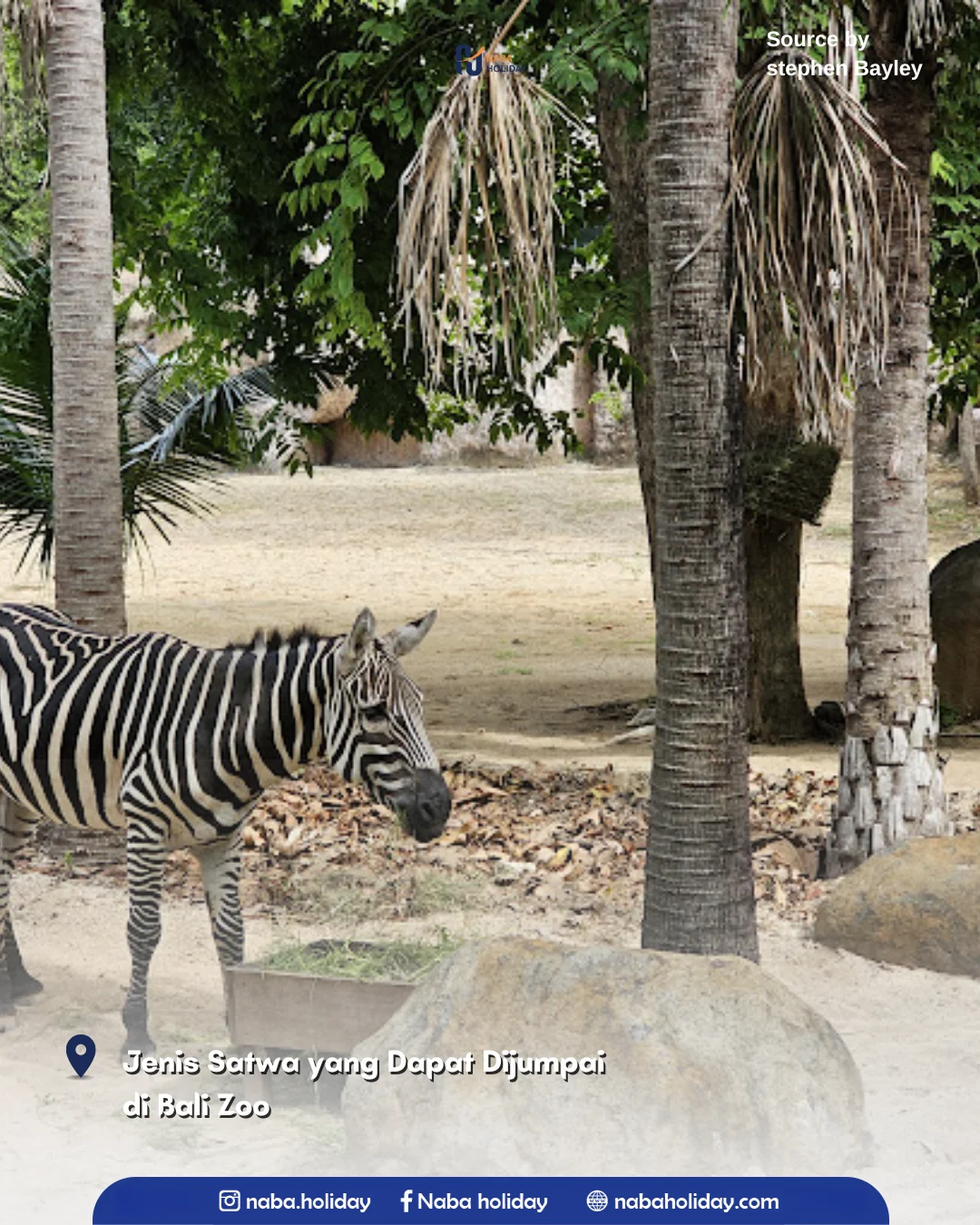 Jenis Satwa yang Dapat Dijumpai di Bali Zoo