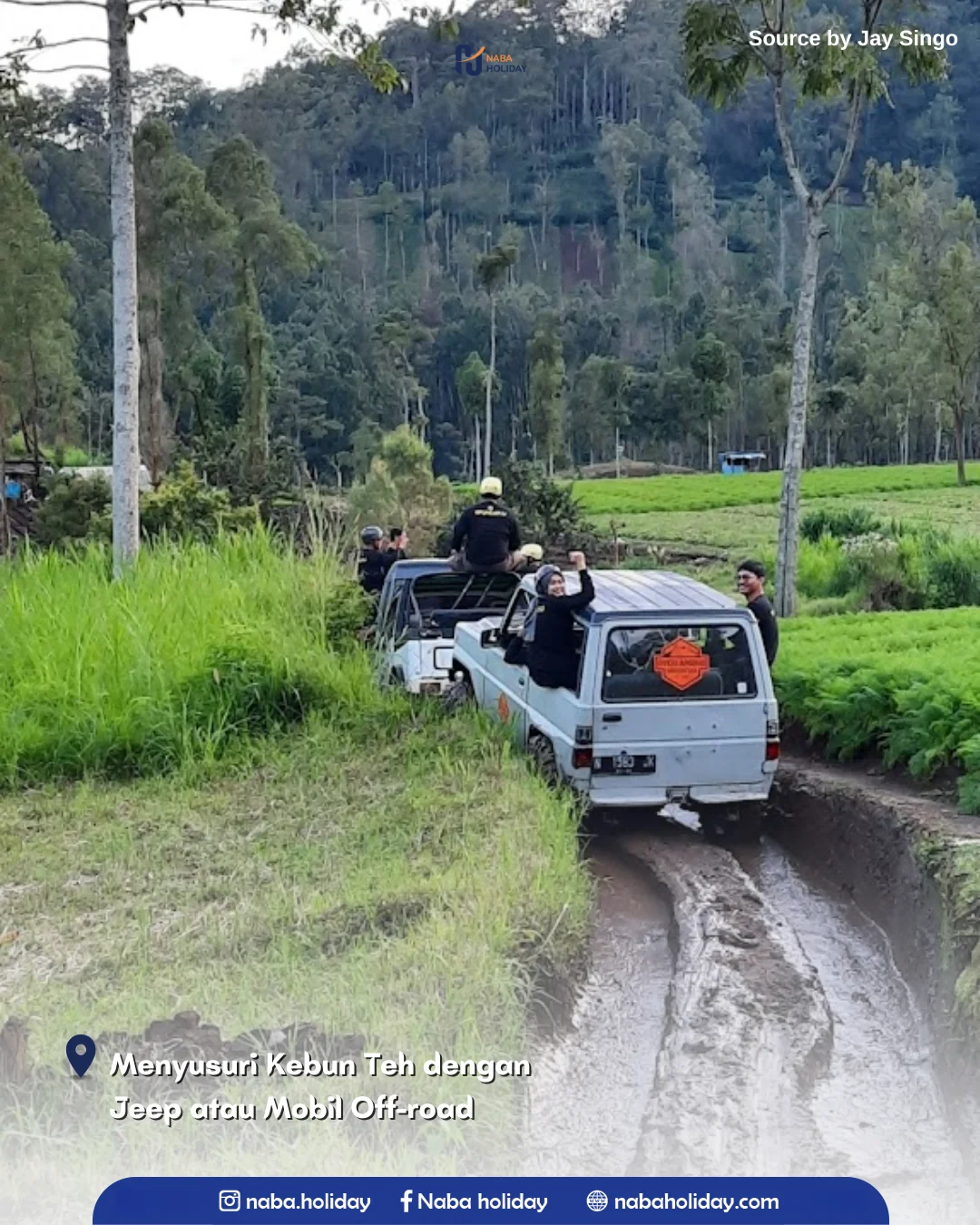 Menyusuri Kebun Teh dengan Jeep atau Mobil Off-road Kebun Teh Purwosari