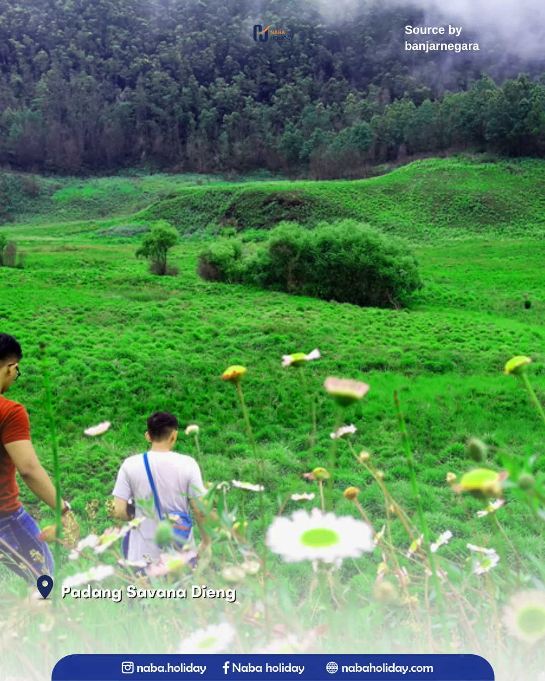 Padang Savana Dieng wisata dieng