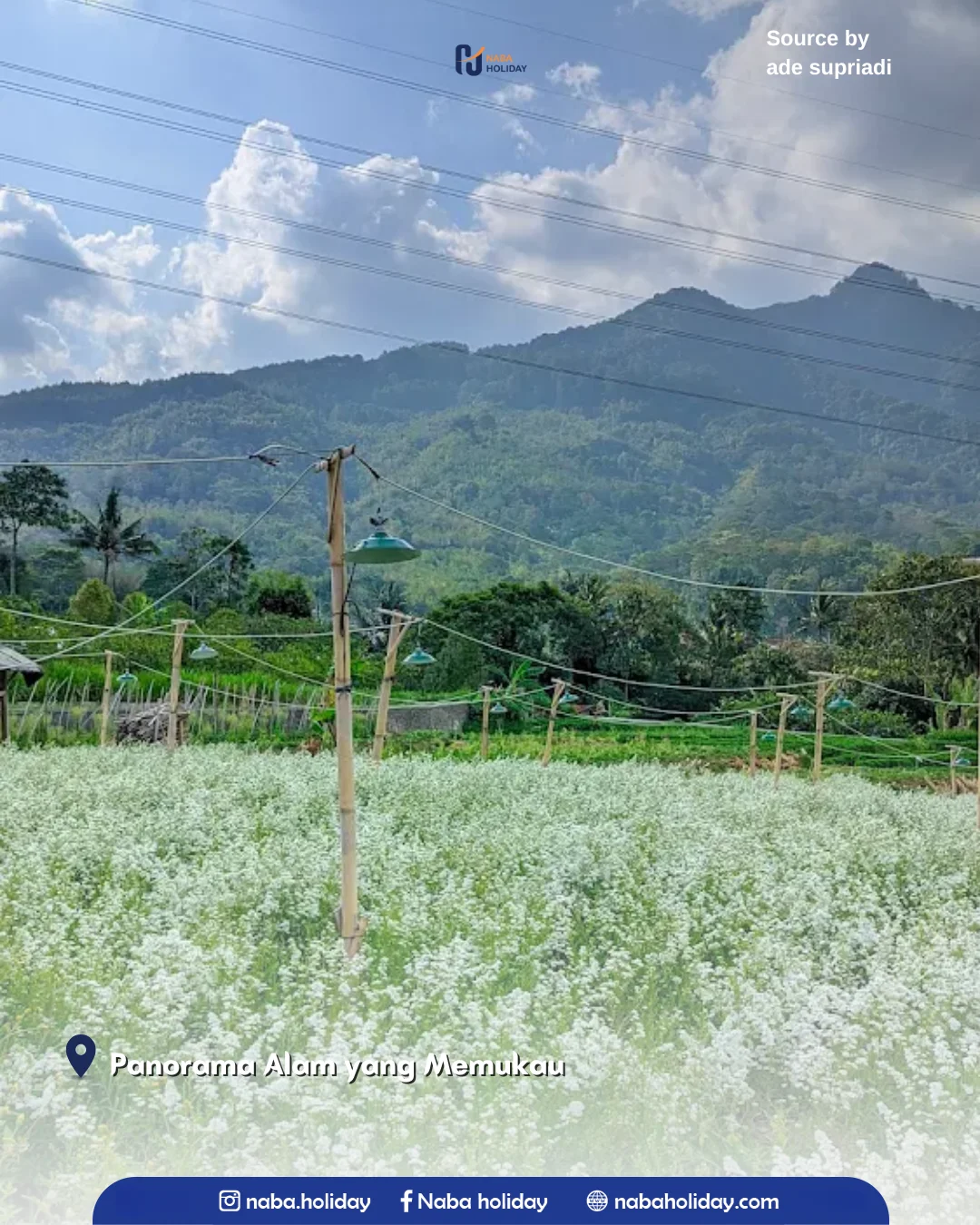 Panorama Alam yang Memukau