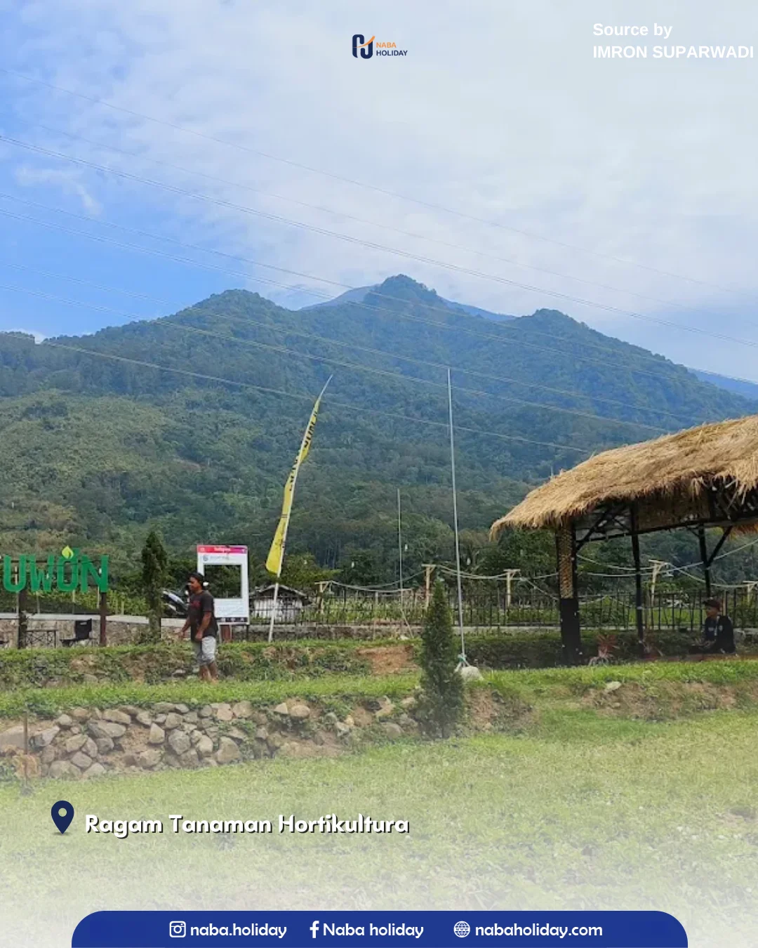 Ragam Tanaman Hortikultura