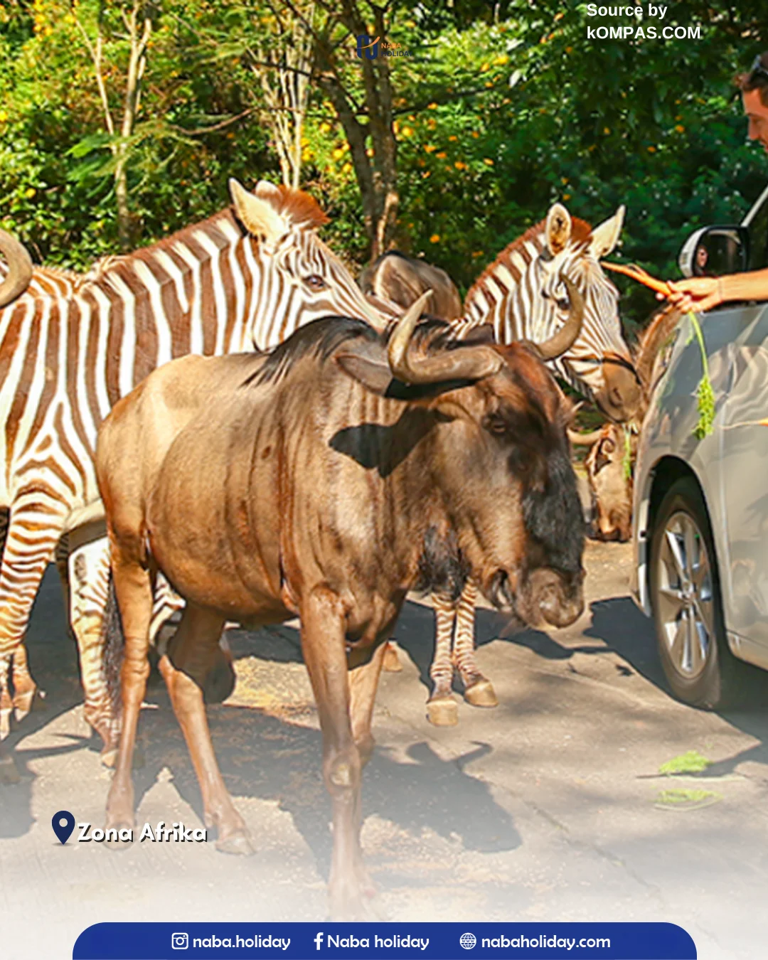 Zona Afrika taman safari prigen