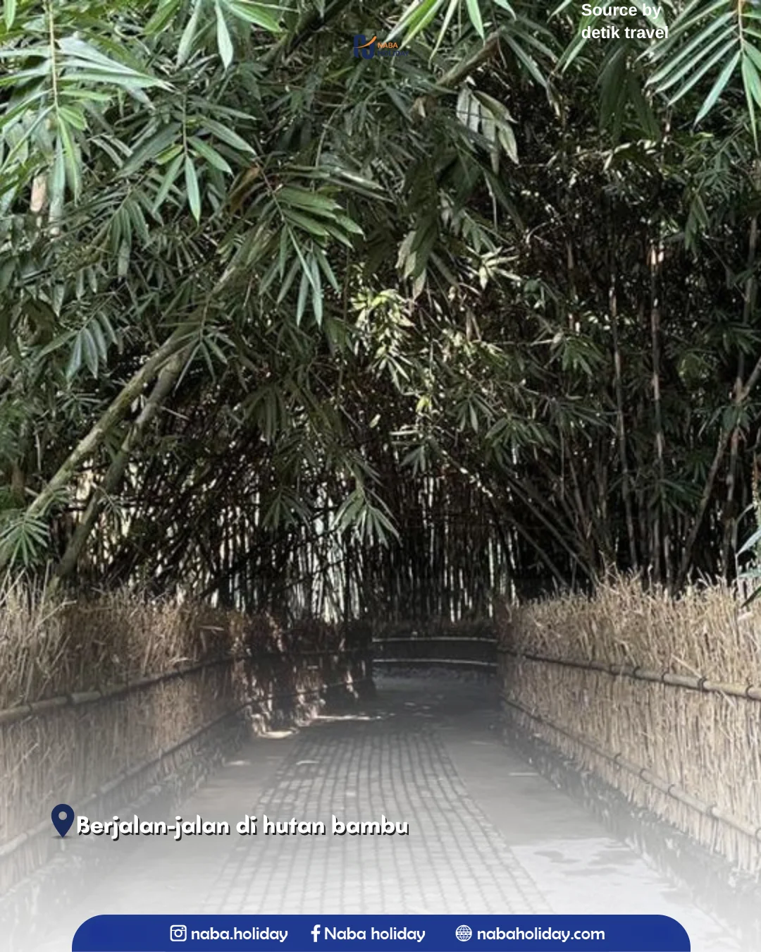 Berjalan-jalan di hutan bambu Desa Wisata Penglipuran